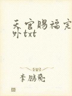 天官赐福完整番外txt封面