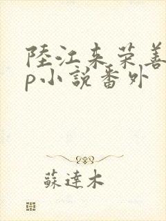 陆江来荣善宝cp小说番外