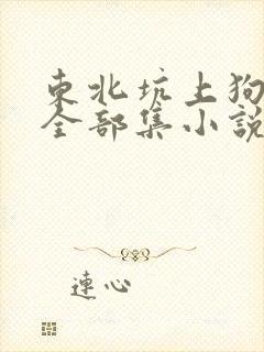 东北坑上狗儿娘全部集小说