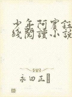 少年阿宾钰慧在线阅读小说封面