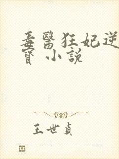 毒医狂妃逆天萌宝 小说