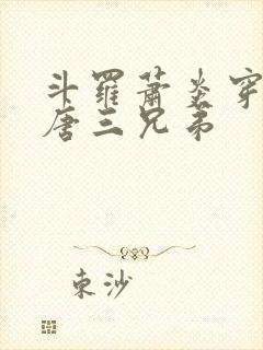 斗罗萧炎穿成越唐三兄弟封面