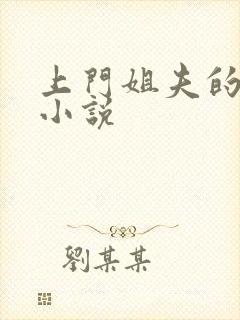 上门姐夫的全部小说