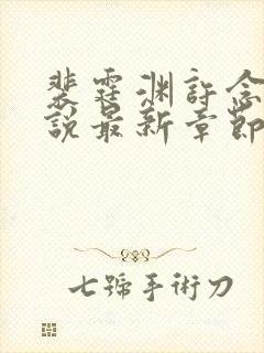 裴霆渊许念笙小说最新章节免费阅读