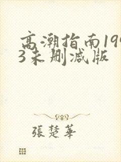 高潮指南1993未删减版封面