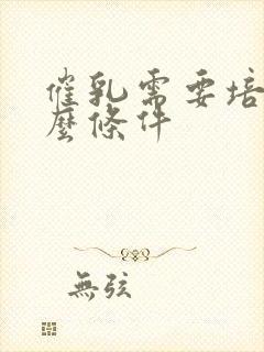 催乳需要培训什么条件封面