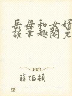 岳母和女婿的小说笔趣阁免费阅读全