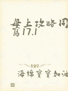 母上攻略同人续写17.1封面