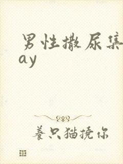 男性撒尿集合gay