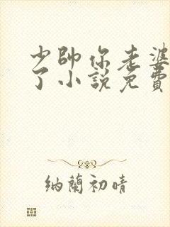 少帅你老婆又跑了小说免费下载