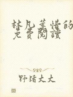 林凡叶惜的小说免费阅读封面