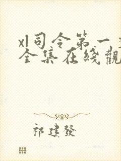 xl司令第一季全集在线观看完整版免费观看