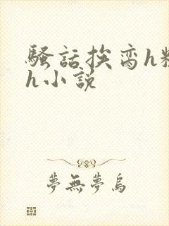 骚话挨脔h粗话h小说