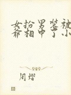 女扮男装被千岁爷相中了小说