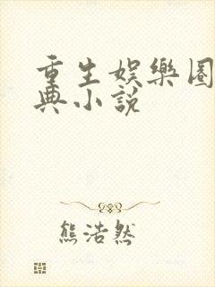 重生娱乐圈的经典小说