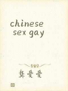 chinese sex gay封面