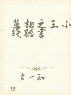 万相之王小说在线听书