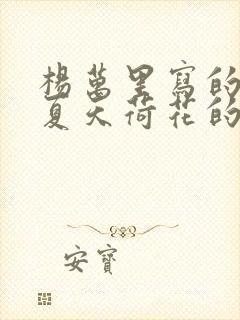 杨万里写的关于夏天荷花的诗