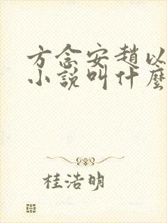 方念安赵以诚的小说叫什么名字