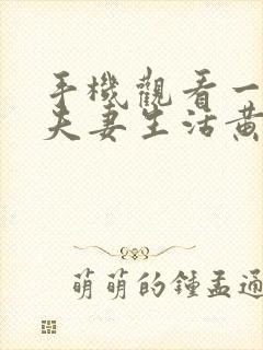 手机观看一级片夫妻生活黄色录像