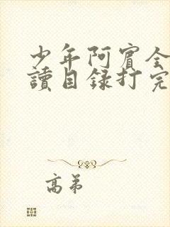 少年阿宾全文阅读目录打完封面