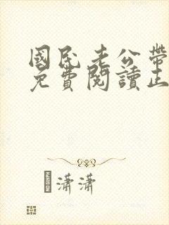 国民老公带回家免费阅读正版封面