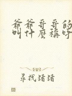 爷爷哥哥的老婆叫什么称呼封面