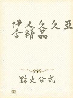 伊人久久亚洲综合精品