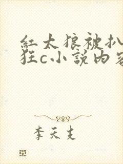 红太狼被扒开腿狂c小说内容