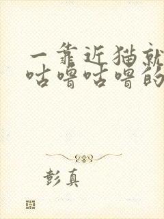 一靠近猫就发出咕噜咕噜的声音