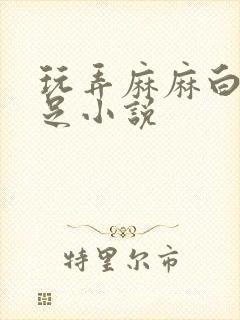 玩弄麻麻白嫩玉足小说