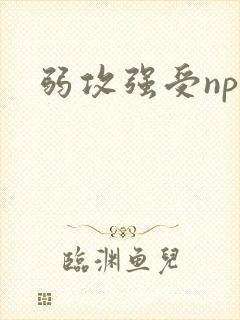 弱攻强受np