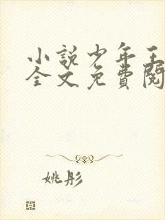 小说少年王王巍全文免费阅读全文封面