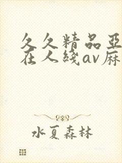 久久精品亚洲成在人线av麻豆