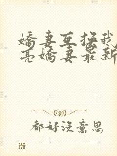 娇妻互换我的漂亮娇妻最新章节