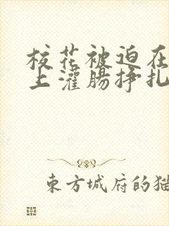 校花被迫在刑具上灌肠挣扎小说