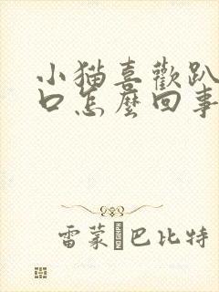 小猫喜欢趴在胸口怎么回事