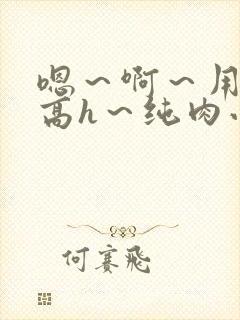 嗯～啊～用力～高h～纯肉小说