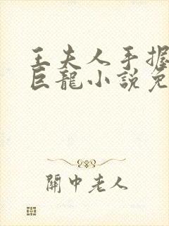 王夫人手握宝玉巨龙小说免费阅读