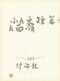 小h文短篇合集h白领封面