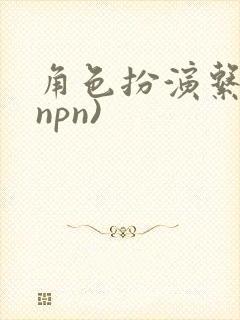 角色扮演系统(npn)