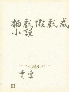 拍戏假戏成真的小说封面