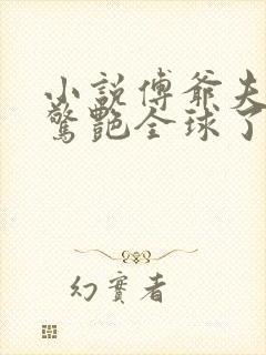 小说傅爷夫人又惊艳全球了免费下载