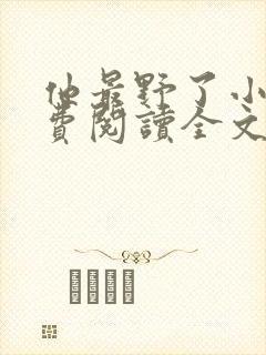 他最野了小说免费阅读全文