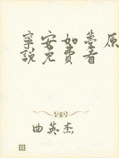 宁安如梦原著小说免费看