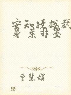 安知晓总裁的替身 叶非墨