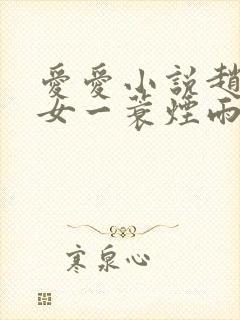 爱爱小说赵氏嫡女一蓑烟雨