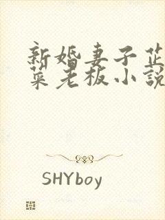 新婚妻子芷岚和菜老板小说