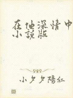 在他深情中陨落小说版