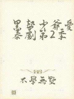 黑帮少爷爱上我泰剧第2季